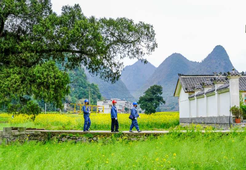平塘供電局：“網(wǎng)格化”服務，護航“菜籃子”