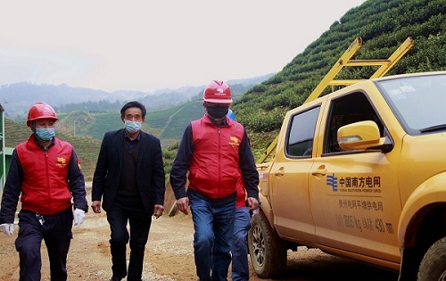平塘供電局：“加減法”同構(gòu)服務，護航“貴州春茶第一壺”