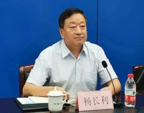 任職總經(jīng)理半年后，楊長利任中廣核董事長