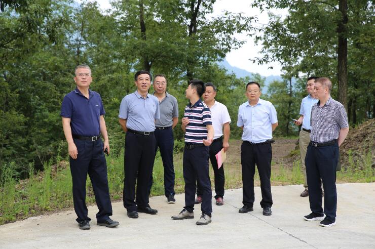 中國能建總經(jīng)理、黨委副書記孫洪水一行赴陜西鎮(zhèn)巴縣調(diào)研定點扶貧工作