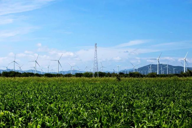 收購(gòu)墨西哥818MW光伏電站，國(guó)家電投境外光伏電站裝機(jī)超6GW