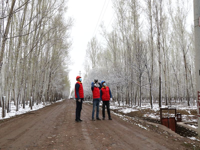 國網(wǎng)伊犁伊河供電公司四月飛雪，電力員工巡視線路保供電