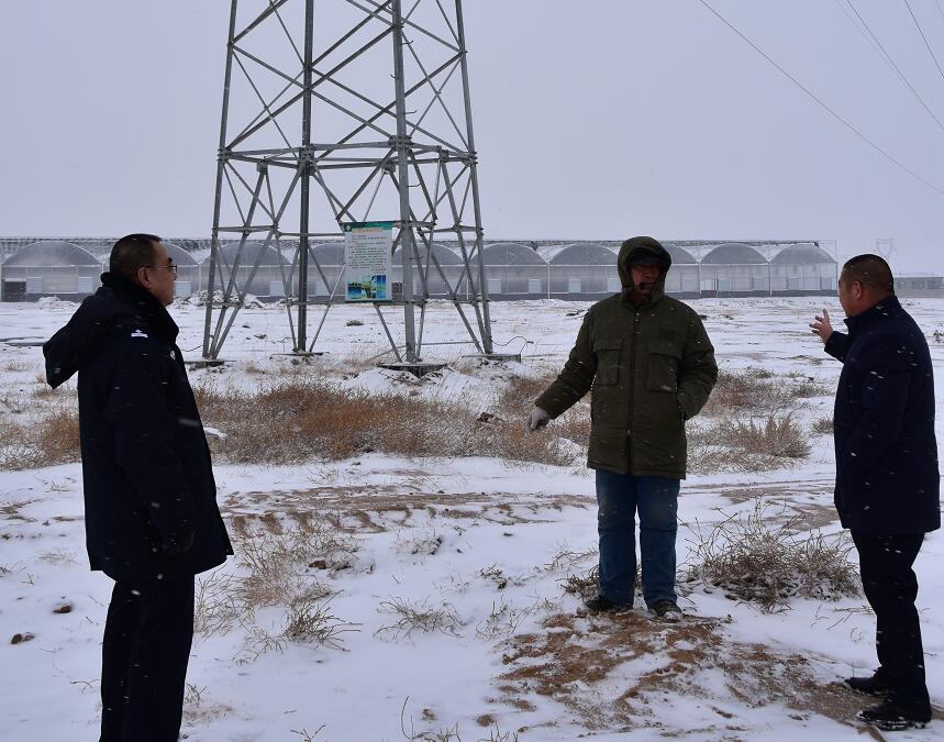 二連浩特供電公司：開展客戶側(cè)安全檢查，確?？诎犊蛻粝楹兔髁吝^春節(jié)