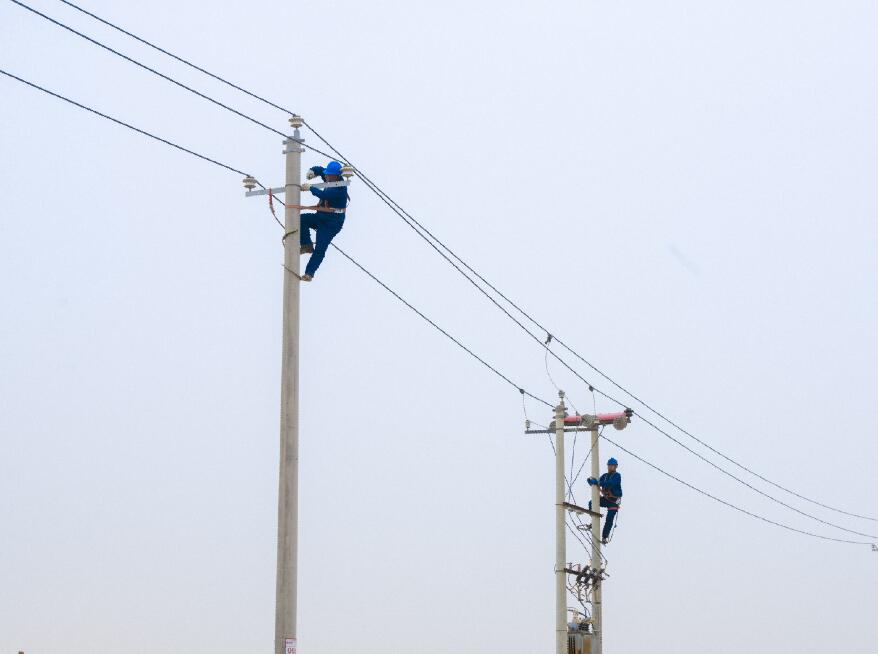 阿拉善供電公司：電網(wǎng)健康“體檢”，從登桿開始