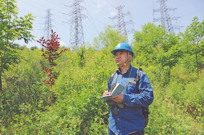 馬新全：穿行林海守護(hù)輸電線(xiàn)路安全