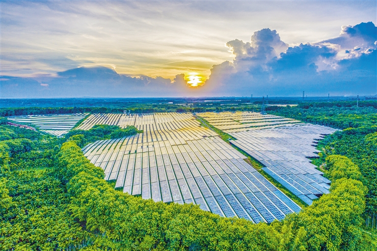 海南電網(wǎng)公司加快構建現(xiàn)代供電服務體系，驅(qū)動鄉(xiāng)村振興電力引擎