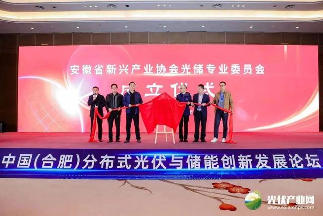 “安徽省新興產業(yè)協會光儲專業(yè)委員會”成立儀式在合肥舉行
