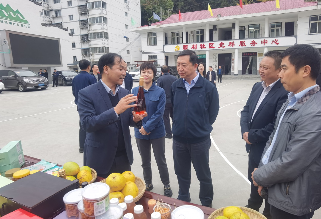 中核集團(tuán)總經(jīng)理、黨組副書記顧軍赴陜西白河、旬陽調(diào)研鄉(xiāng)村振興工作