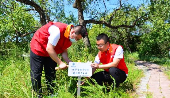 國網蒙東興安供電公司“電力+生態(tài)”為濕地綠色發(fā)展賦能