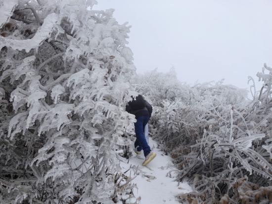 【新春走基層】迎雪而上攻堅行，奮戰(zhàn)不息護光明