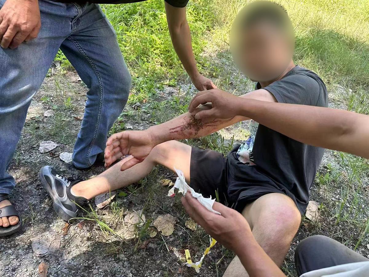 男子私設電網(wǎng)30余米，沒捕獲獵物卻電傷路人被刑拘