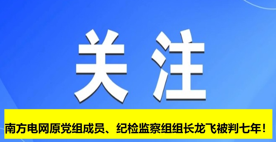 南方電網(wǎng)原黨組成員、紀(jì)檢監(jiān)察組組長(zhǎng)龍飛被判